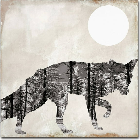 Trademark Fine Art "Going Wild VII" Canvas Art by Color Bakery