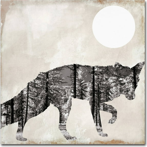Trademark Fine Art "Going Wild VII" Canvas Art by Color Bakery