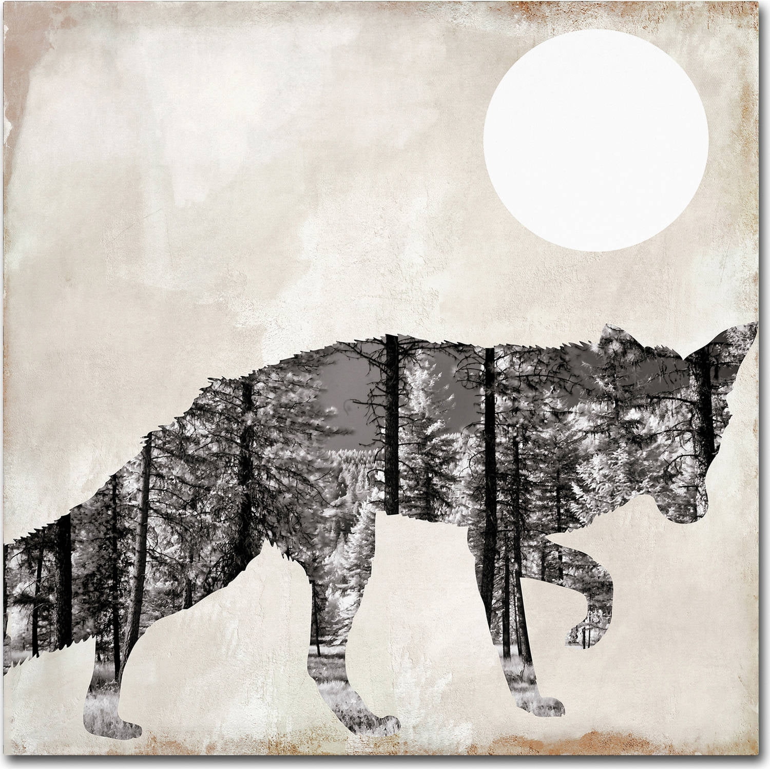 Trademark Fine Art "Going Wild VII" Canvas Art by Color Bakery
