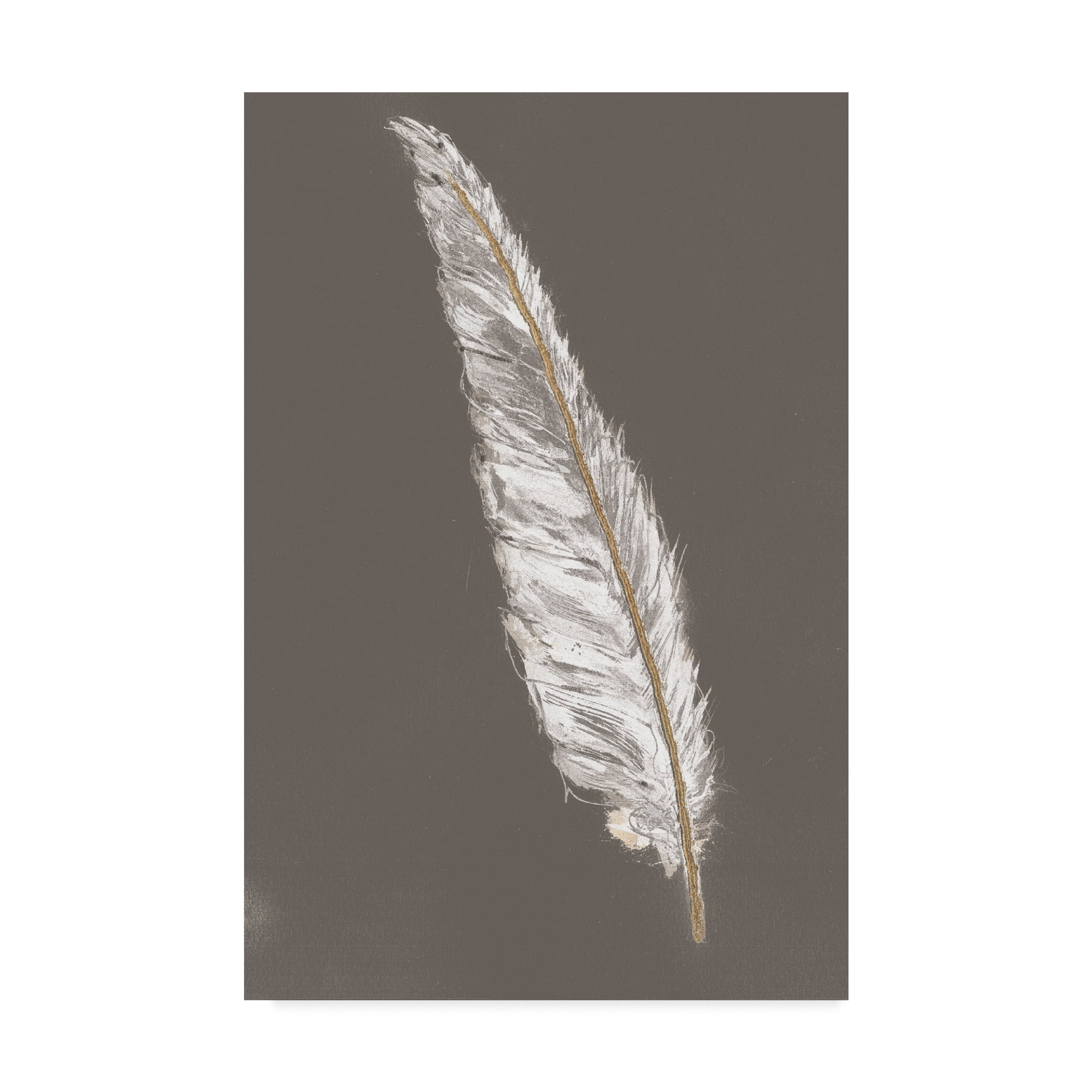 Trademark Fine Art 'Gold Feathers VI on Grey' Canvas Art by Chris Paschke