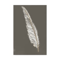 Trademark Fine Art 'Gold Feathers VI on Grey' Canvas Art by Chris Paschke