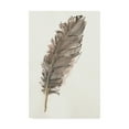 thumbnail image 1 of Trademark Fine Art 'Gold Feathers VII' Canvas Art by Chris Paschke, 1 of 3