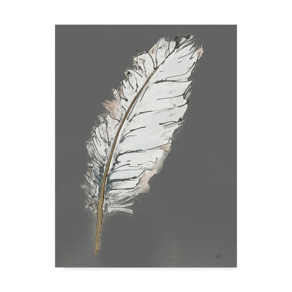 Trademark Fine Art 'Gold Feathers VII on Grey' Canvas Art by Chris Paschke