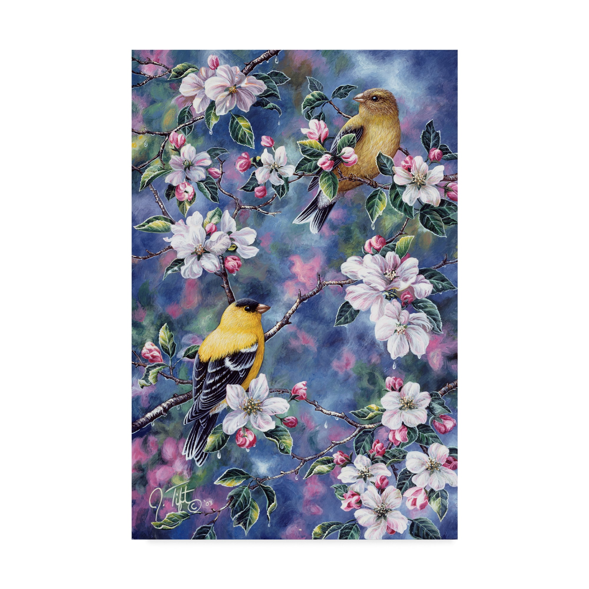 Trademark Fine Art 'Gold Finch And Blossoms' Canvas Art by Jeff Tift