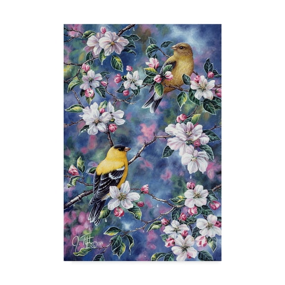 Trademark Fine Art 'Gold Finch And Blossoms' Canvas Art by Jeff Tift