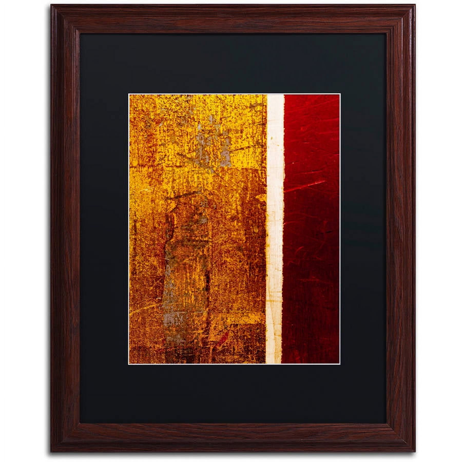 Trademark Fine Art "Gold Flakes" Canvas Art by Claire Doherty, Black Matte, Wood Frame