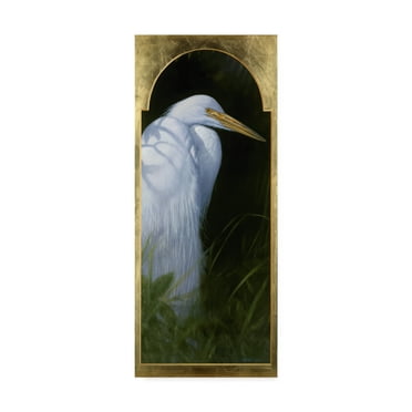 Trademark Fine Art 'Gold Frame Egret' Canvas Art by Michael Jackson