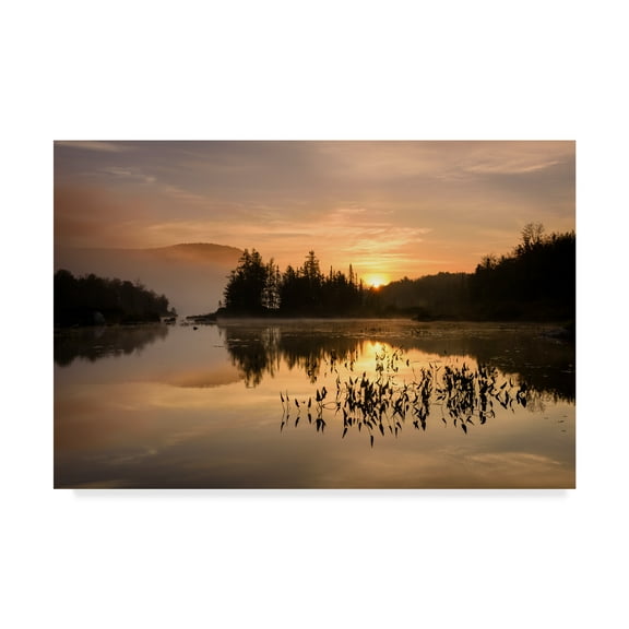 Trademark Fine Art 'Gold On The Mountain' Canvas Art by Michael Blanchette Photography