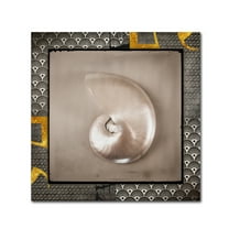 Trademark Fine Art 'Gold Sea Scape' Canvas Art by LightBoxJournal