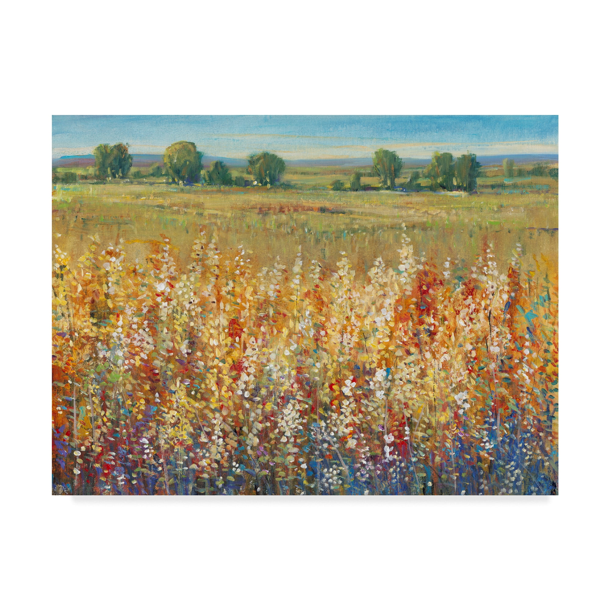 Trademark Fine Art 'Gold and Red Field I' Canvas Art by Tim OToole