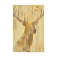 thumbnail image 1 of Trademark Fine Art 'Golden Antlers I' Canvas Art by Albena Hristova, 1 of 3