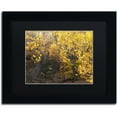 thumbnail image 1 of Trademark Fine Art "Golden Autumn 2" Canvas Art by Kurt Shaffer, Black Matte, Black Frame, 1 of 4