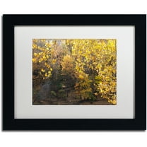 Trademark Fine Art "Golden Autumn 2" Canvas Art by Kurt Shaffer, White Matte, Black Frame