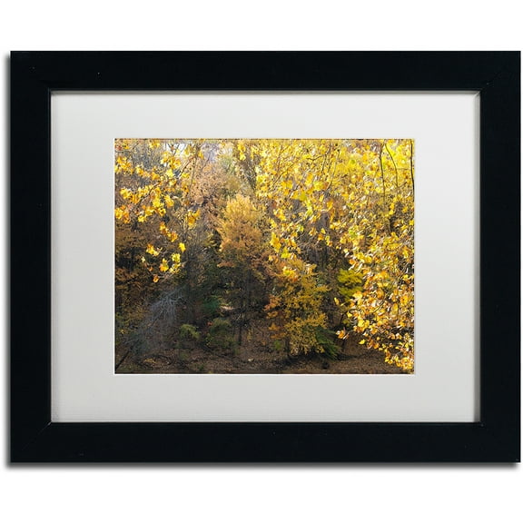 Trademark Fine Art "Golden Autumn 2" Canvas Art by Kurt Shaffer, White Matte, Black Frame