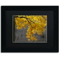 thumbnail image 1 of Trademark Fine Art "Golden Autumn Color" Canvas Art by Kurt Shaffer, Black Matte, Black Frame, 1 of 1