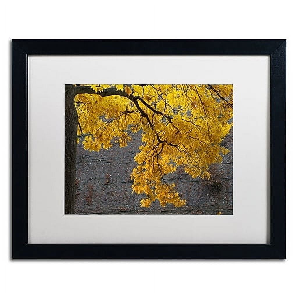 Trademark Fine Art "Golden Autumn Color" Canvas Art by Kurt Shaffer, White Matte, Black Frame