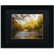 Trademark Fine Art "Golden Autumn River" Canvas Art by Kurt Shaffer, Black Matte, Black Frame
