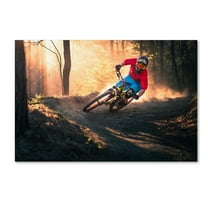 Trademark Fine Art 'Golden Bermed Corner' Canvas Art by Sandi Bertoncelj