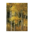 thumbnail image 1 of Trademark Fine Art 'Golden Birches' Canvas Art by Julia Purinton, 1 of 3