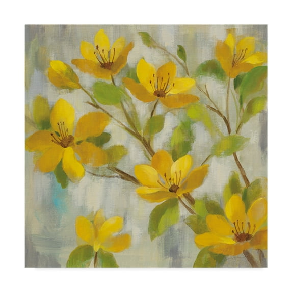 Trademark Fine Art 'Golden Bloom I' Canvas Art by Silvia Vassileva