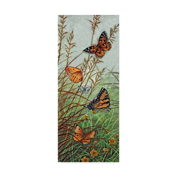 Trademark Fine Art 'Golden Butterflies' Canvas Art by Carol J Rupp