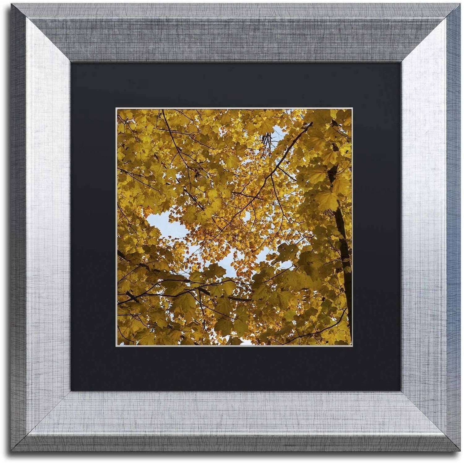 Trademark Fine Art "Golden Canopy of Autumn" Canvas Art by Kurt Shaffer, Black Matte, Silver Frame