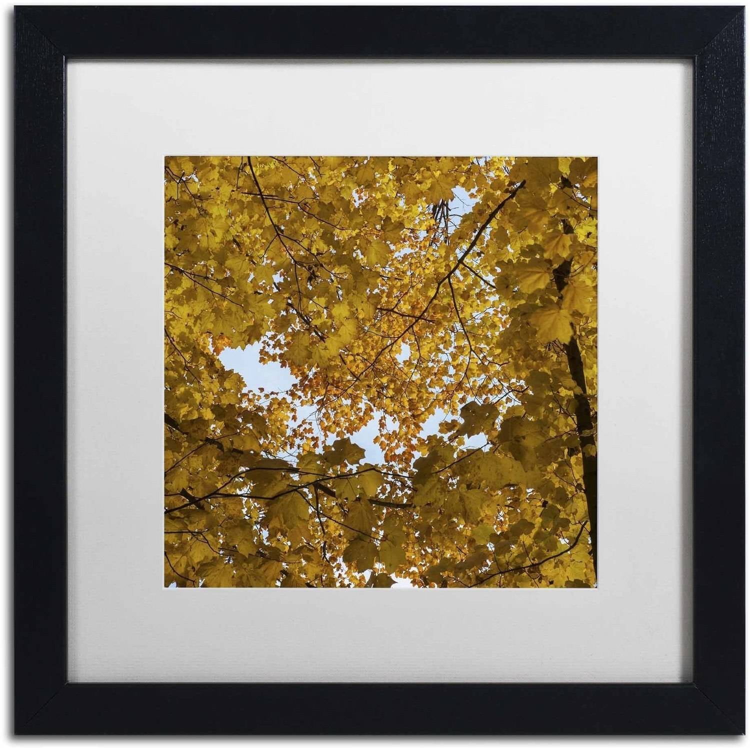 Trademark Fine Art "Golden Canopy of Autumn" Canvas Art by Kurt Shaffer, White Matte, Black Frame