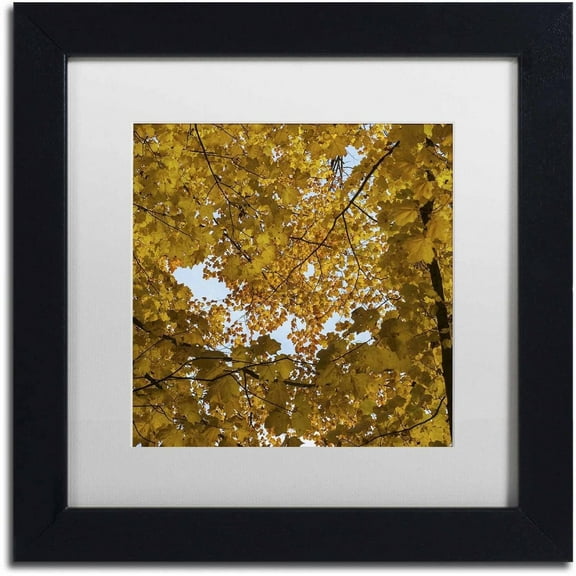 Trademark Fine Art "Golden Canopy of Autumn" Canvas Art by Kurt Shaffer, White Matte, Black Frame