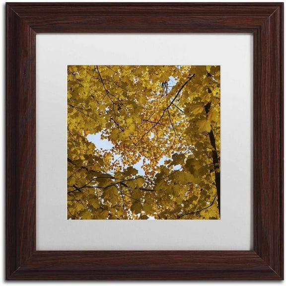 Trademark Fine Art "Golden Canopy of Autumn" Canvas Art by Kurt Shaffer, White Matte, Wood Frame