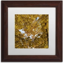 Trademark Fine Art "Golden Canopy of Autumn" Canvas Art by Kurt Shaffer, White Matte, Wood Frame