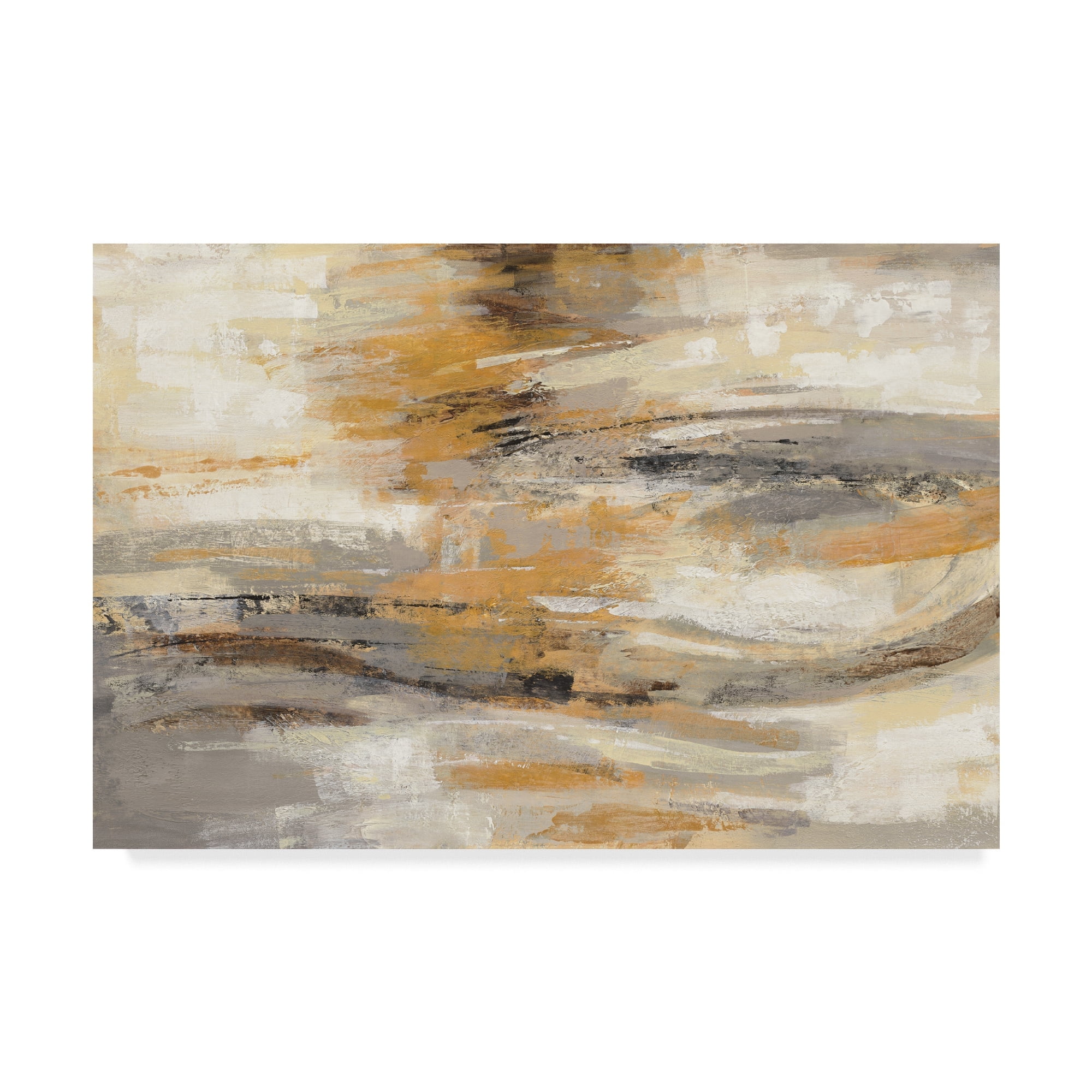 Trademark Fine Art 'Golden Dust' Canvas Art by Silvia Vassileva