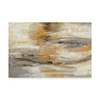 Trademark Fine Art 'Golden Dust' Canvas Art by Silvia Vassileva