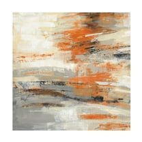 Trademark Fine Art 'Golden Dust Crop Orange' Canvas Art by Silvia Vassileva