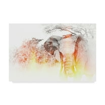 Trademark Fine Art 'Golden Elephant' Canvas Art by Golie Miamee