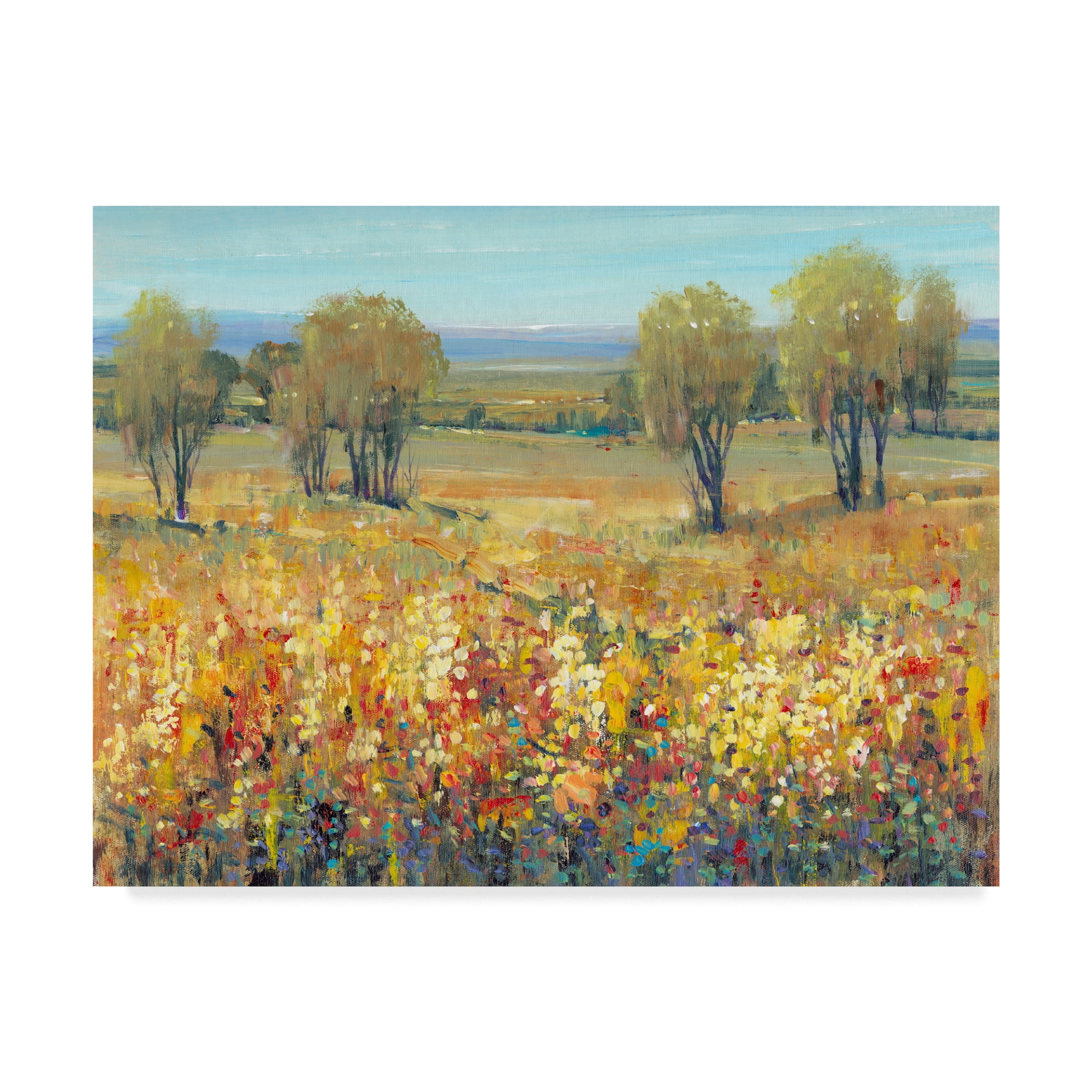 Trademark Fine Art 'Golden Fields II' Canvas Art by Tim OToole