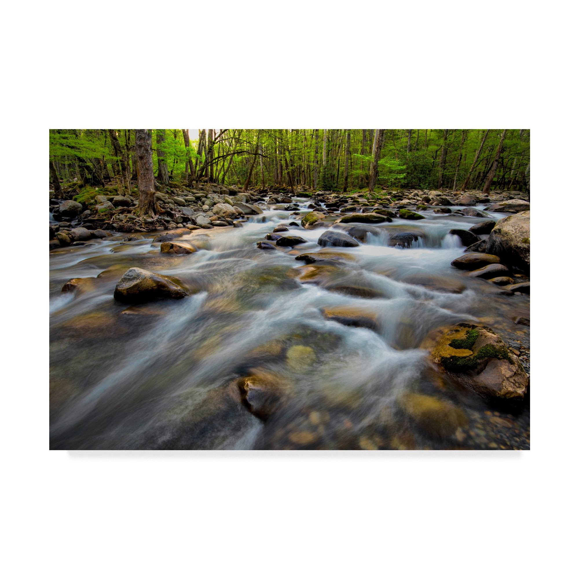 Trademark Fine Art 'Golden Flow' Canvas Art by Danny Head
