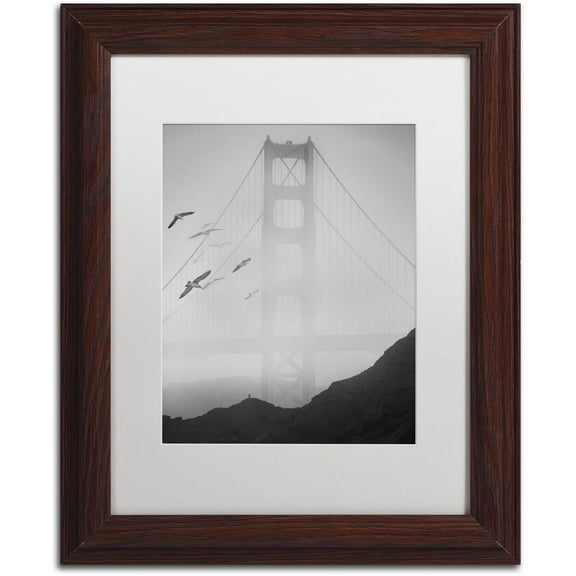 Trademark Fine Art "Golden Gate Pier and Birds I" Canvas Art by Moises Levy White Matte, Wood Frame
