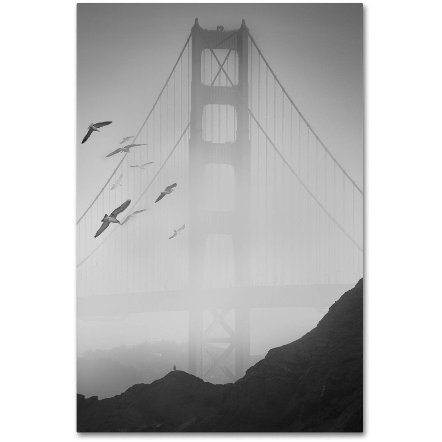 Trademark Fine Art "Golden Gate Pier and Birds I" Canvas Art by Moises Levy