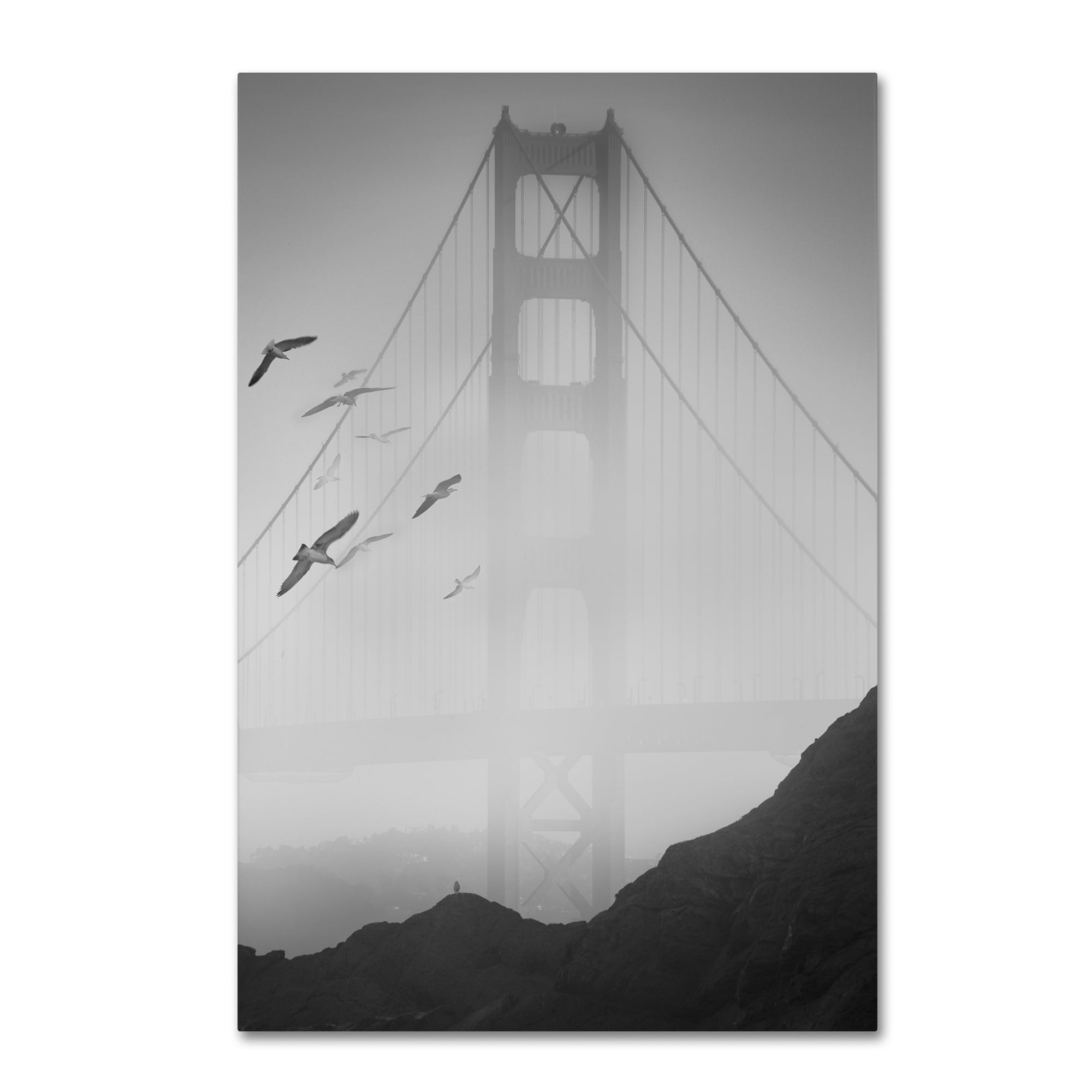 Trademark Fine Art "Golden Gate Pier and Birds I" Canvas Art by Moises Levy