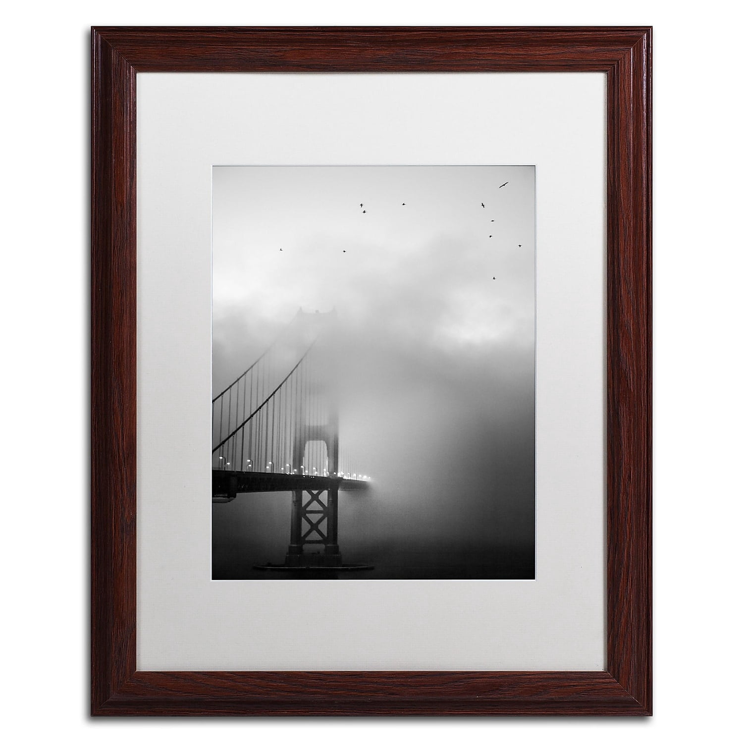 Trademark Fine Art "Golden Gate and Birds" Canvas Art by Moises Levy White Matte, Wood Frame