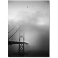 thumbnail image 1 of Trademark Fine Art "Golden Gate and Birds" Canvas Art by Moises Levy, 1 of 3
