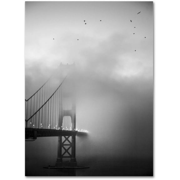 Trademark Fine Art "Golden Gate and Birds" Canvas Art by Moises Levy