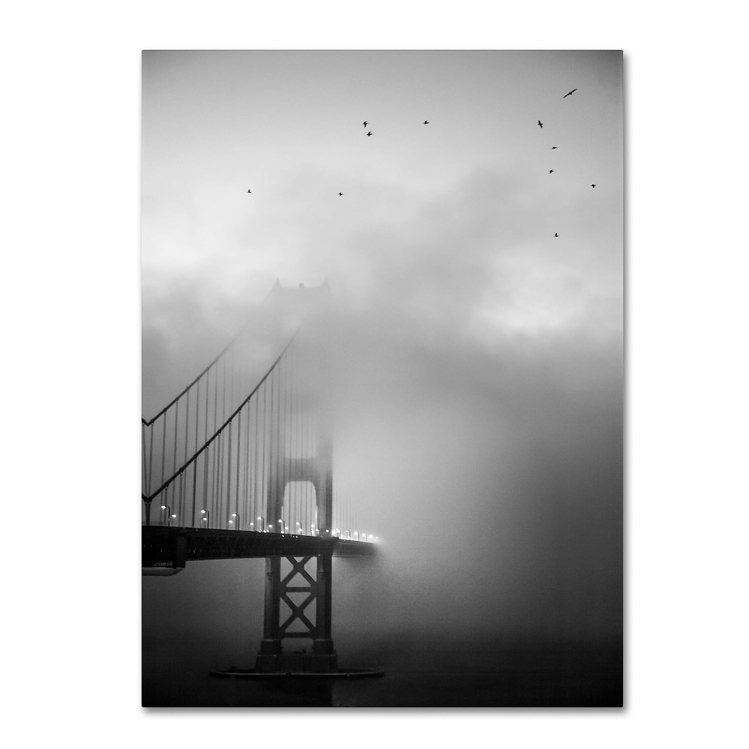 Trademark Fine Art "Golden Gate and Birds" Canvas Art by Moises Levy