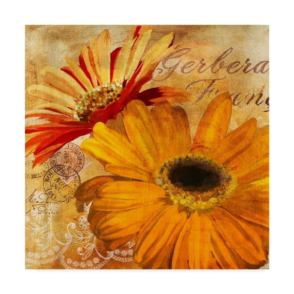 Trademark Fine Art 'Golden Gerbera II' Canvas Art by Art Licensing Studio