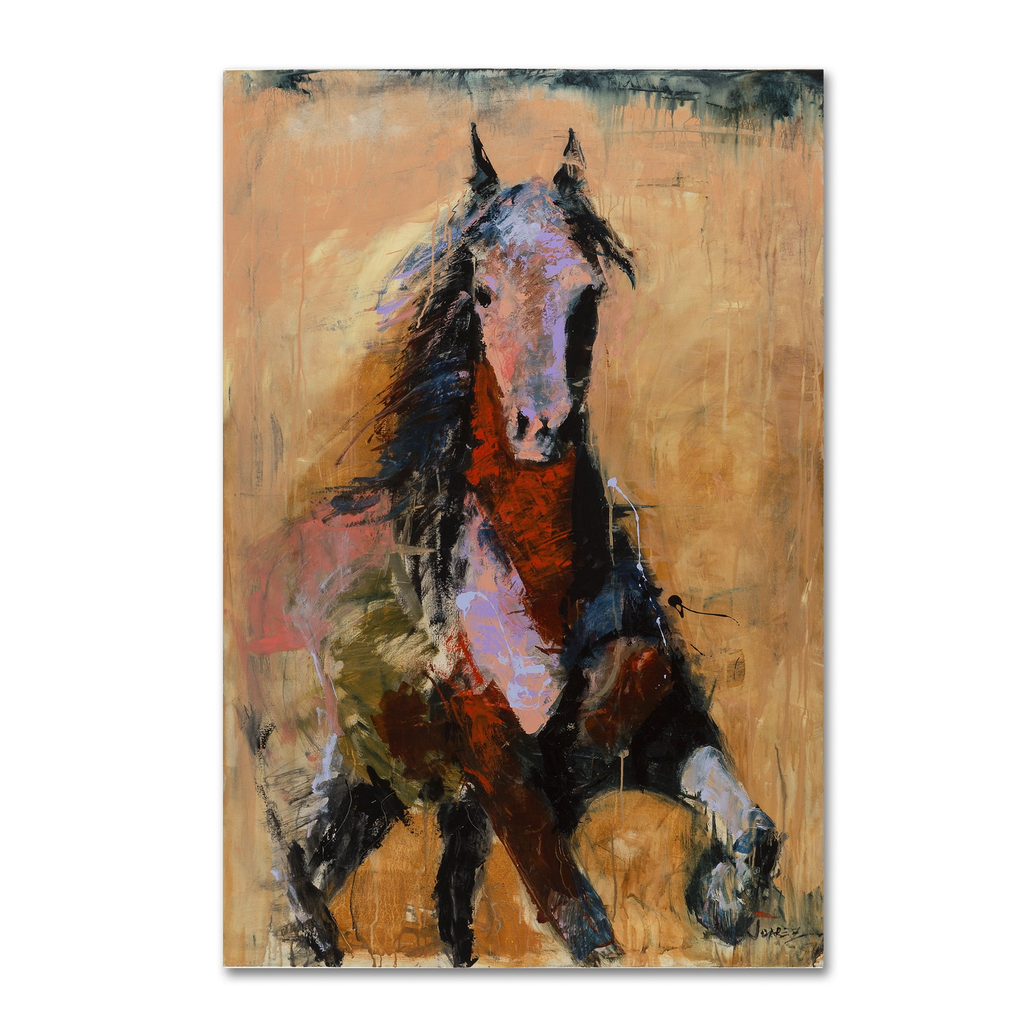 Trademark Fine Art "Golden Horse" Canvas Art by Joarez