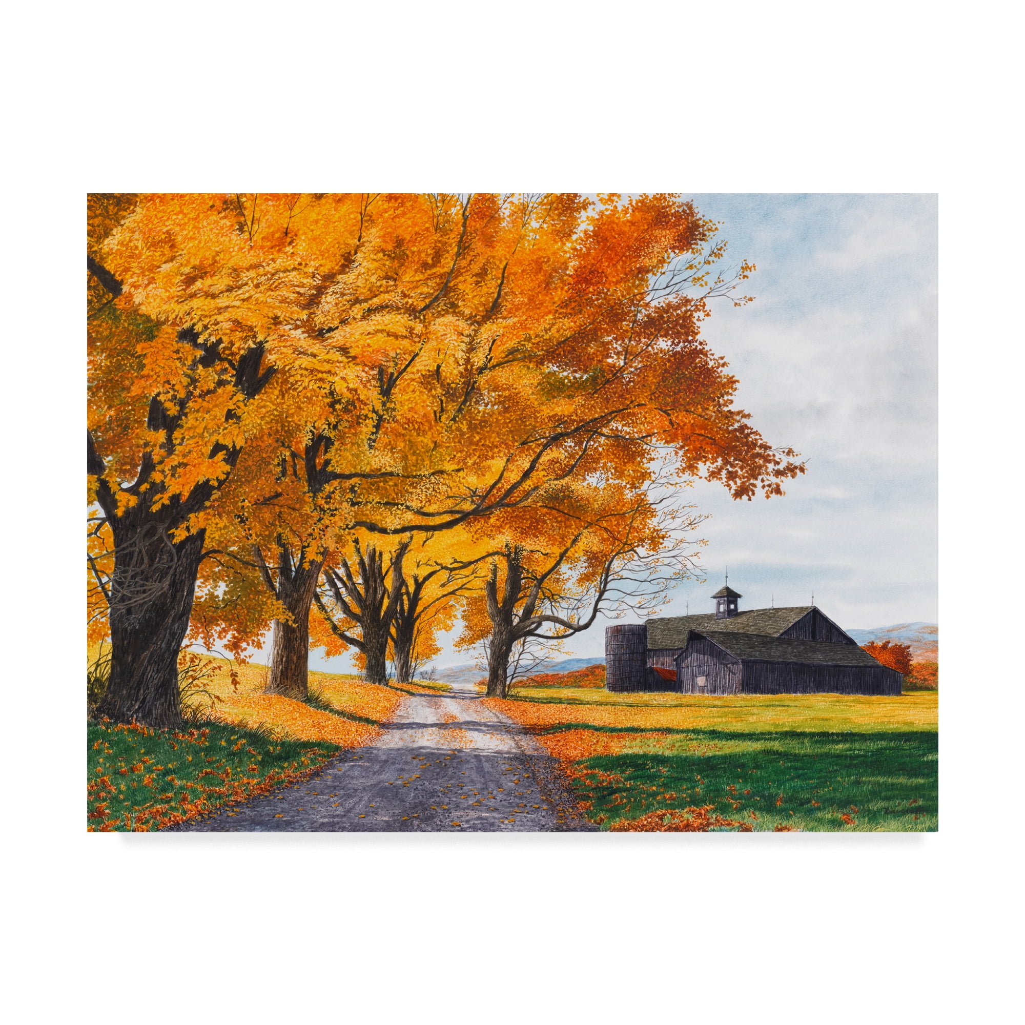 Trademark Fine Art 'Golden Maples' Canvas Art by Michael Davidoff