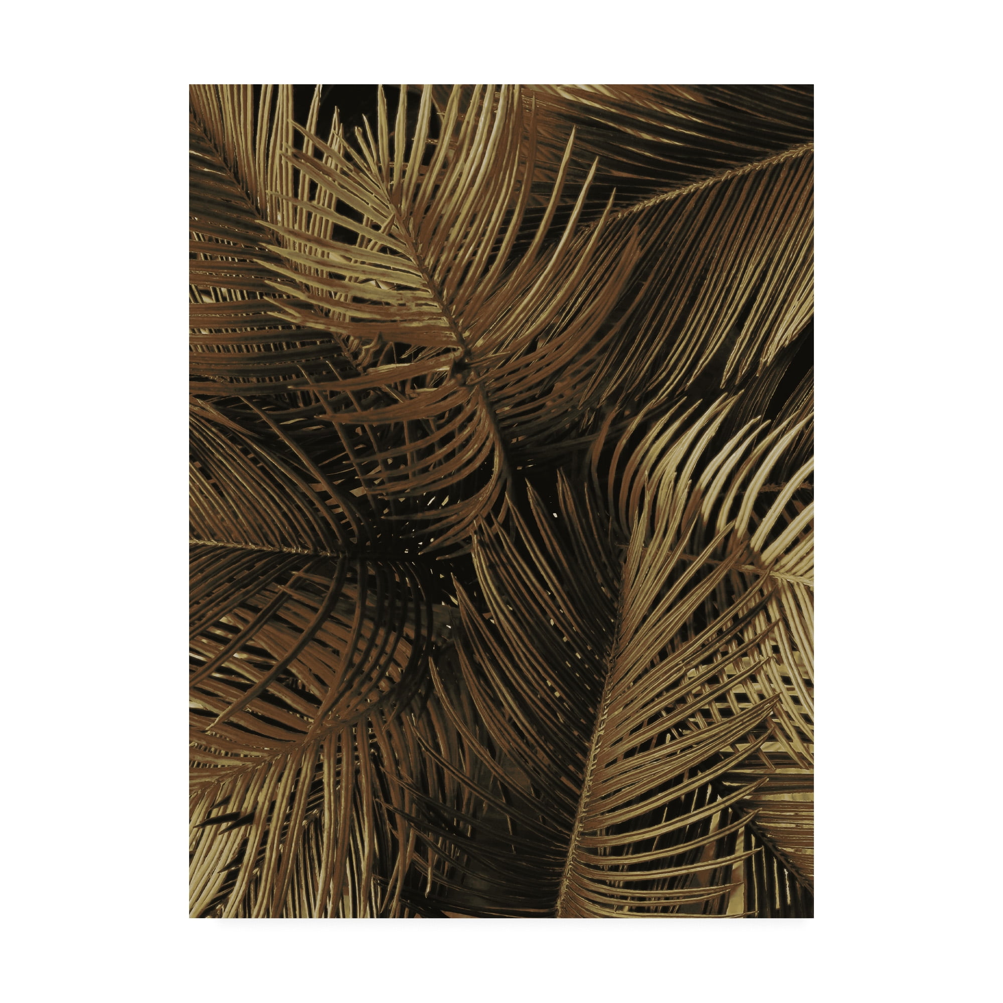 Trademark Fine Art 'Golden Palm 2 Fabrikken' Canvas Art by Design Fabrikken