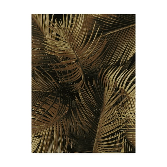 Trademark Fine Art 'Golden Palm 2 Fabrikken' Canvas Art by Design Fabrikken