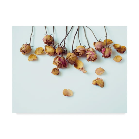 Trademark Fine Art 'Golden Petals I' Canvas Art by Sonja Quintero