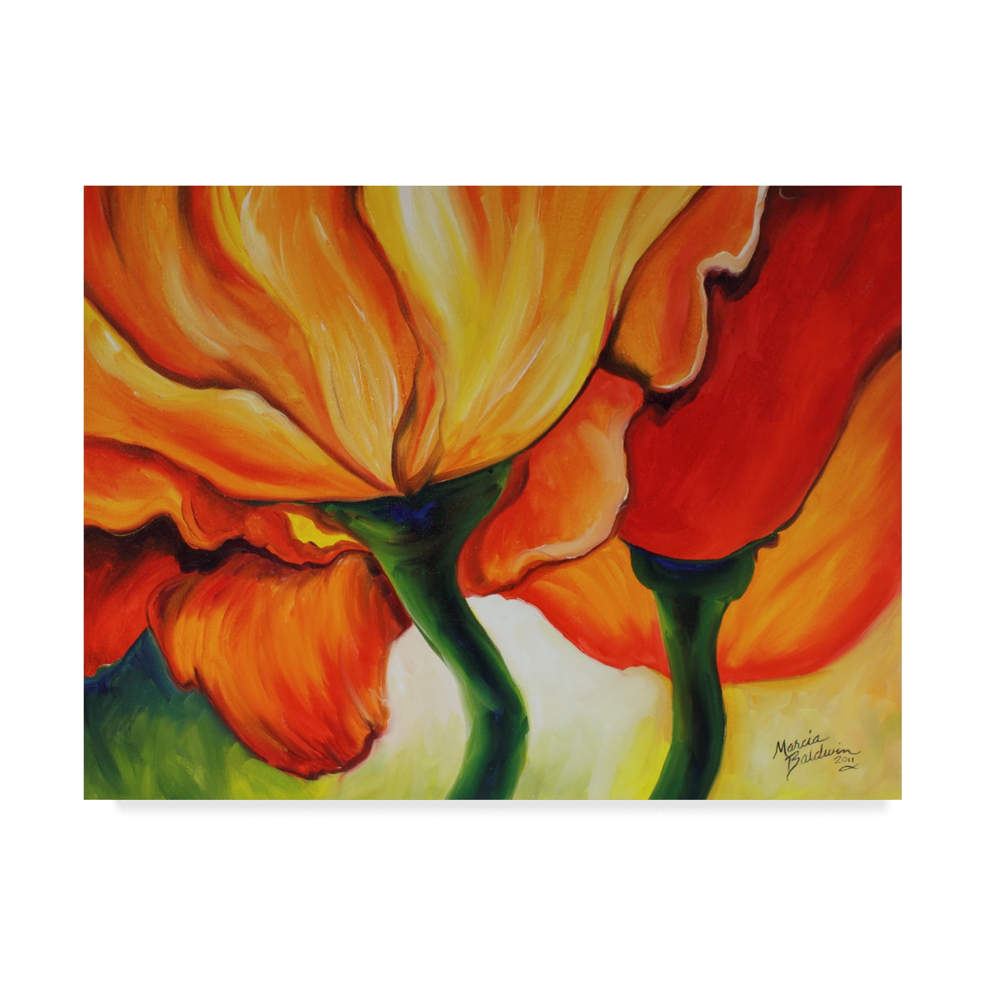 Trademark Fine Art 'Golden Poppy Abstract' Canvas Art by Marcia Baldwin